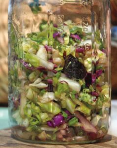 Easy Sauerkraut Recipe Image